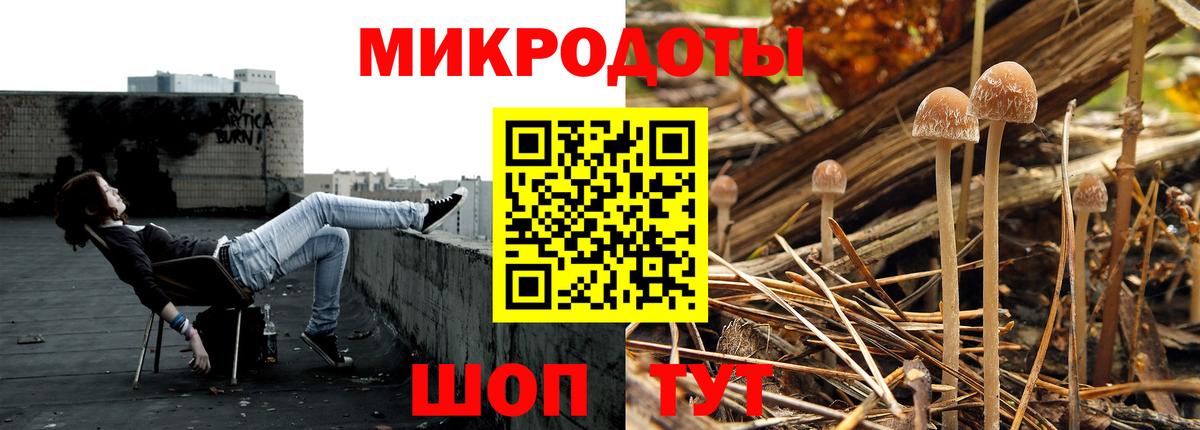 Галлюциногенные грибы GOLDEN TEACHER  Галлюциногенные грибы мухоморы  Вход с VPN  как найти наркотики  Комсомольск-на-Амуре 