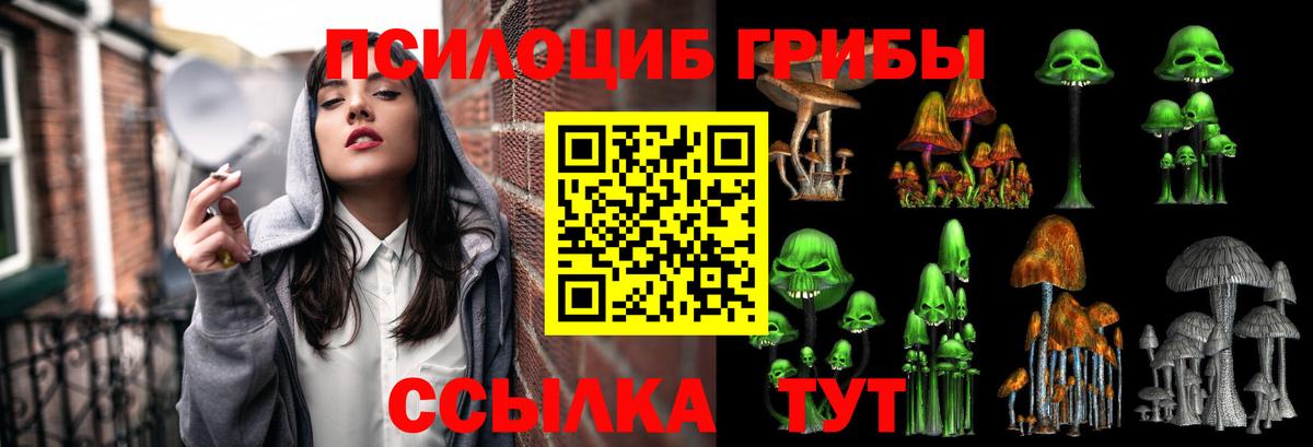 Псилоцибиновые грибы прущие грибы Комсомольск-на-Амуре